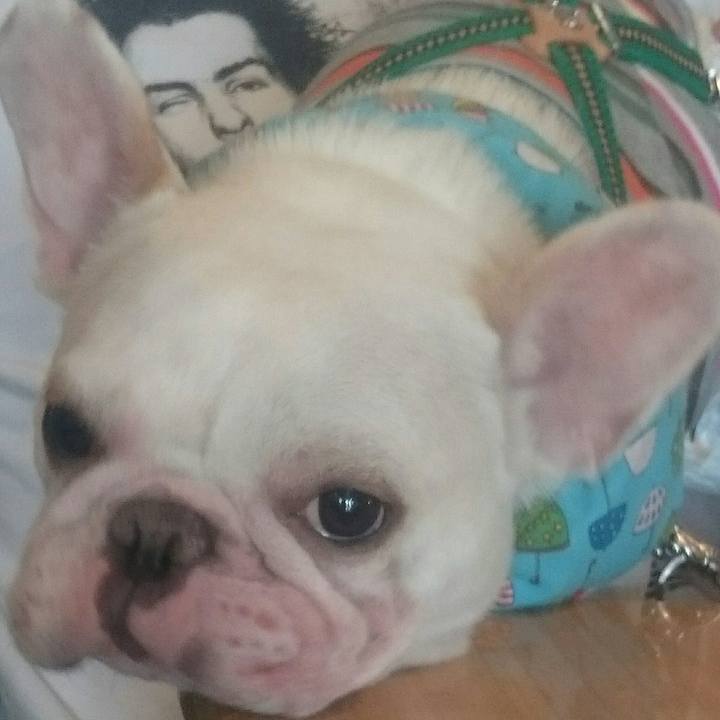 18ebc003 0e24 4b0c 8ae3 4aa879e81aba