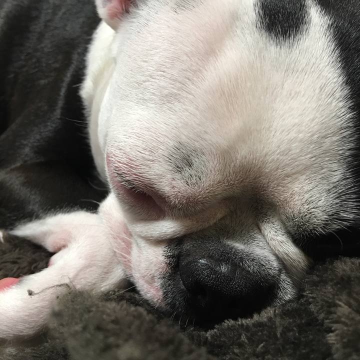 18ecf3fd 4b9d 438f 806a b42222fae1be