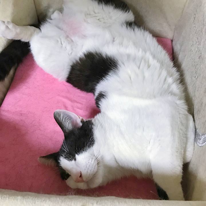 18ed85b3 6477 450c 9ca1 501cb983ca6a