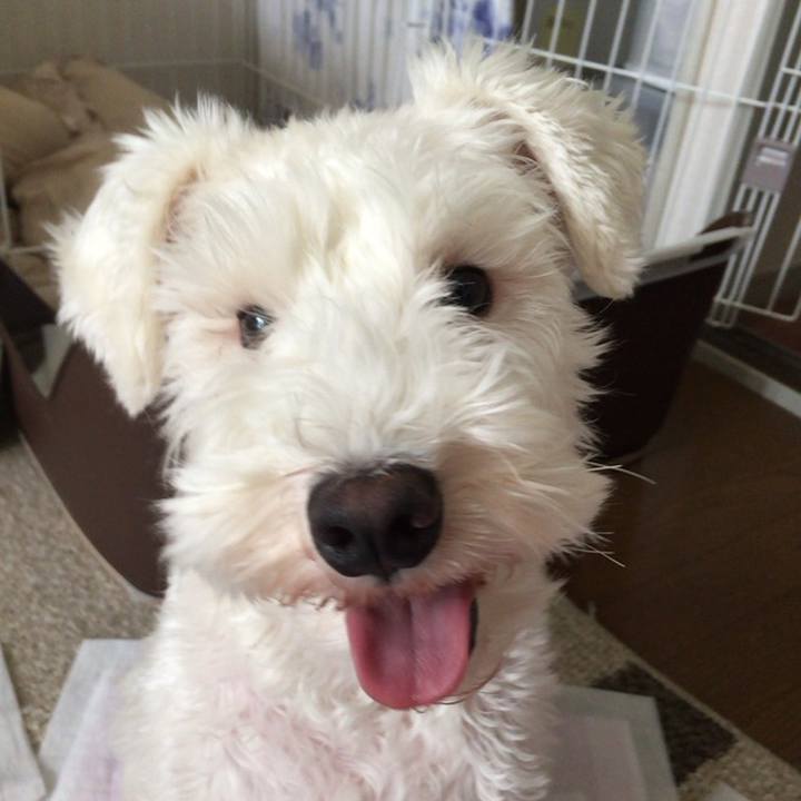 18ed9b12 fcc6 42df 9a7e 4d4009a37ccd