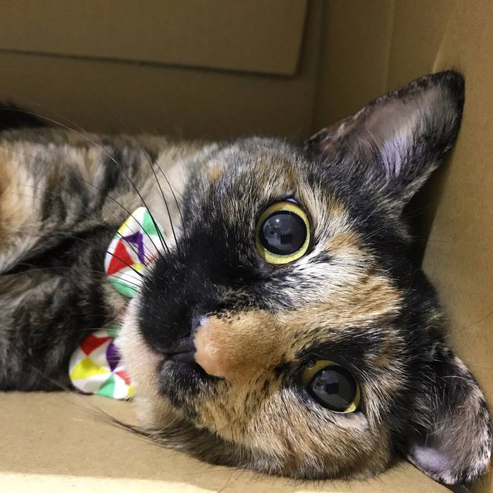 18eda939 c2f2 46d5 9f12 f0ed71c33bf2