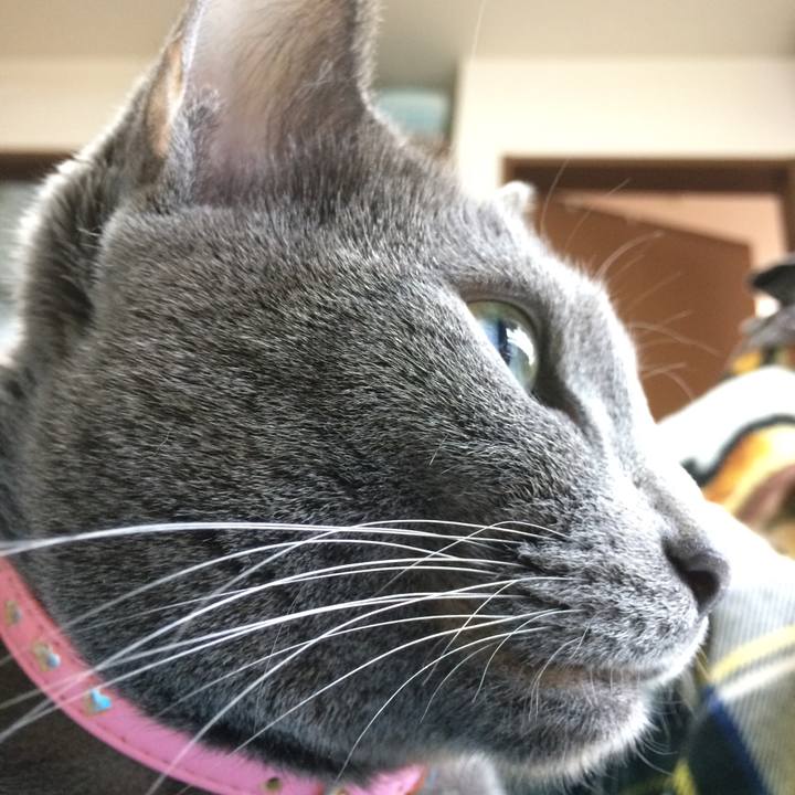 18edbfbd a228 40d9 b50c e5fe46e05a4a