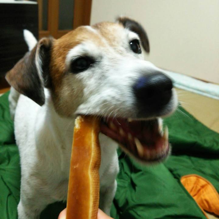 18eeda10 7cc2 442e 89f2 8850021432bc