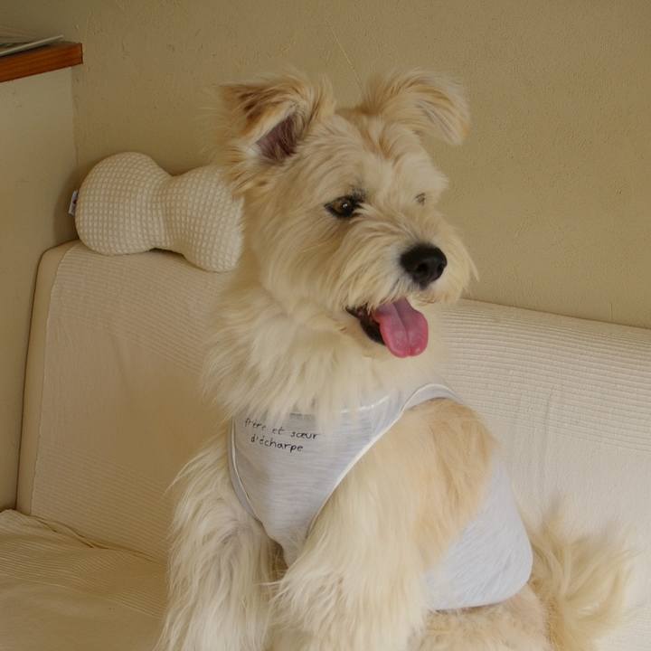 18ef1e97 ac4a 4f11 bdb5 03bb1be61124