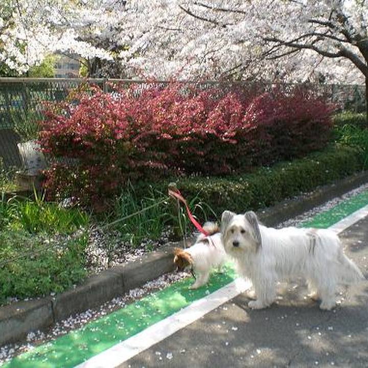 18ef30bb 9368 4c8b a035 07c90fa2eca7