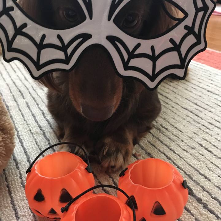 18efbc6a 8f93 47fe b843 c48416674846