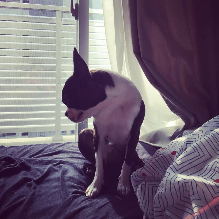 18efe881 4f0b 4570 9247 aa406c0675fa