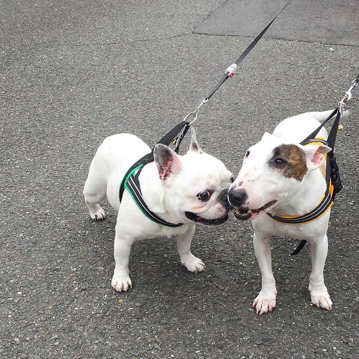 18f00060 5f1b 4b55 a044 beb413283981