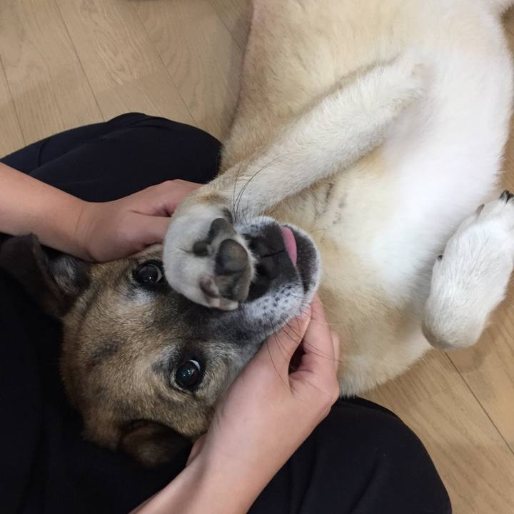 18f0b85e 0279 4710 949a 0b2686e86208