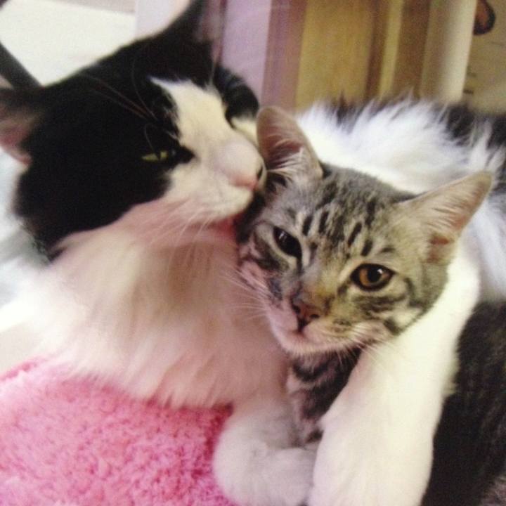 18f10fd0 832a 455a bc50 5160a9d33175