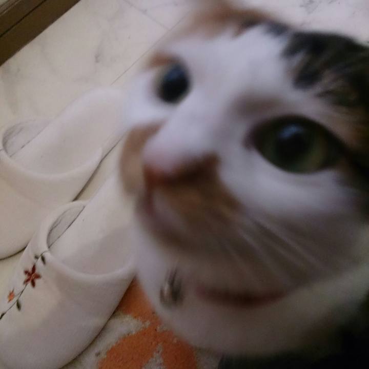 18f11b13 89ac 4ebf 8a0f 8e37fd41fee9