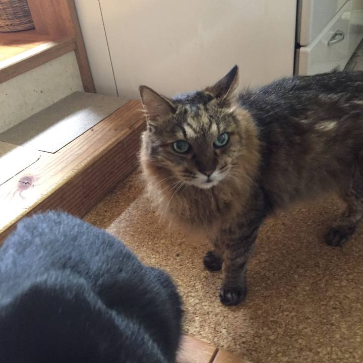 18f1b562 8e3b 4f68 9544 9aa54ab41aac