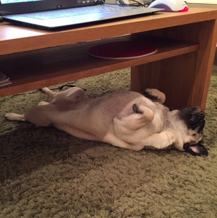 18f31ed1 da84 4769 b681 f9953a00a645