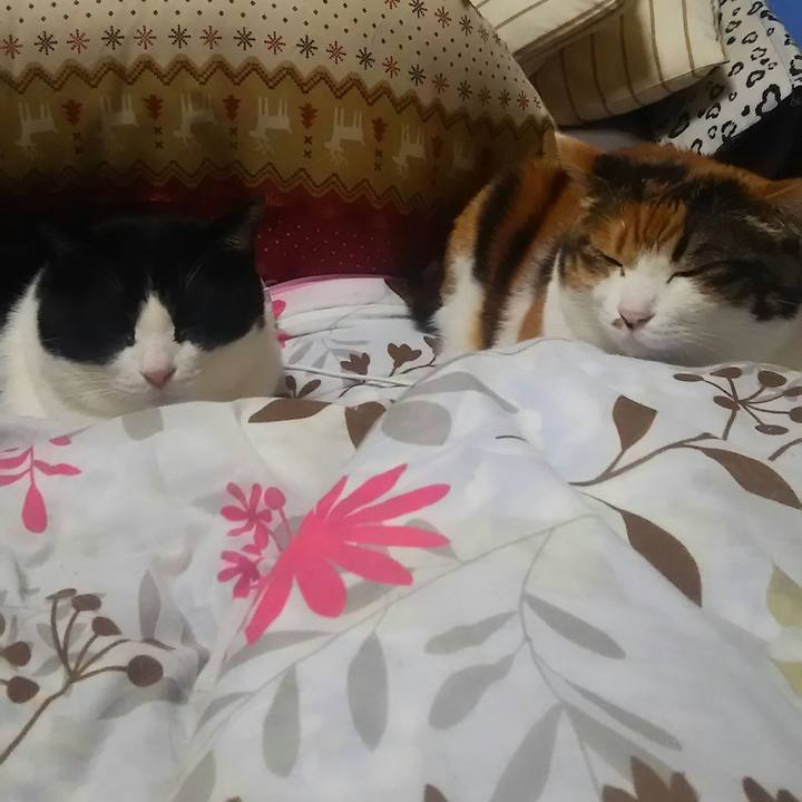 18f3c260 a433 460a b9eb 3d0c069b5ae3