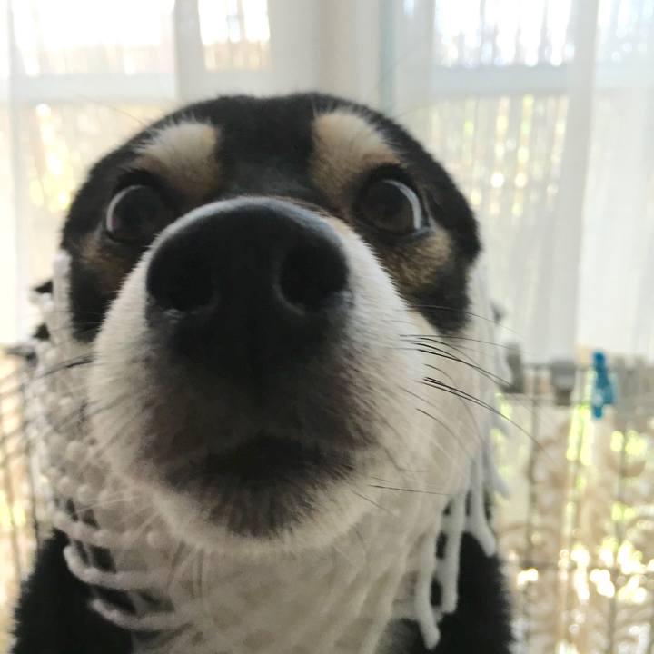 18f48585 e771 4af7 bd84 9a5de20b6d35