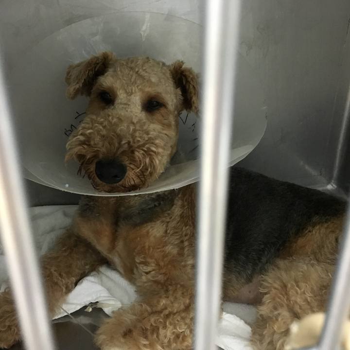 18f54ba6 825f 4c34 bbeb a280e7b565b9