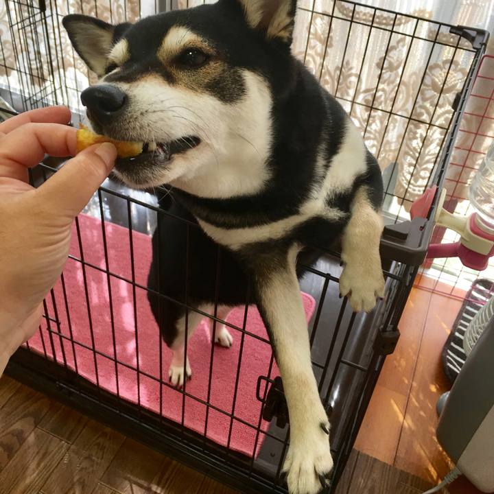 18f55ec7 7435 47fb b32e ccef4e151a21