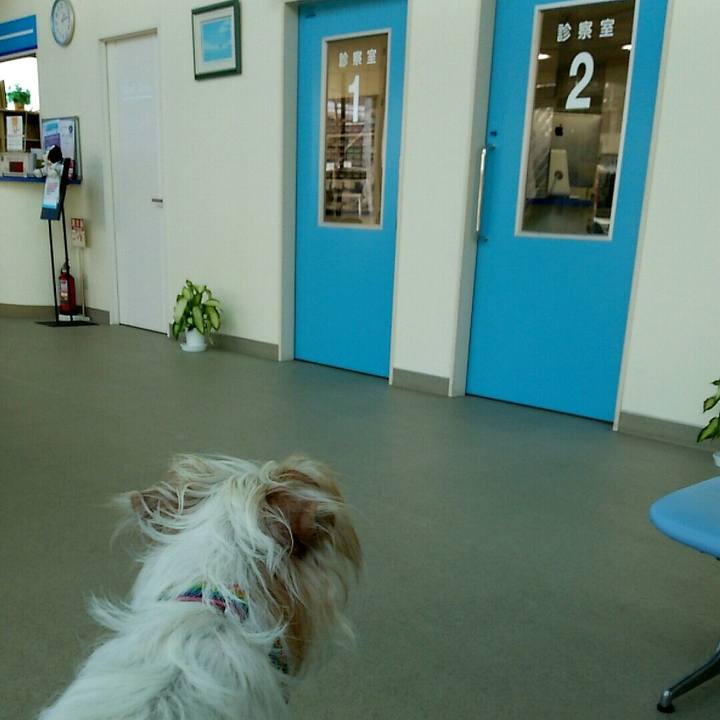 18f565e8 92b8 43c5 b282 00bbd7de6062