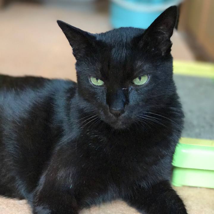 18f5663d 7c47 407c bd75 bd720012aec6