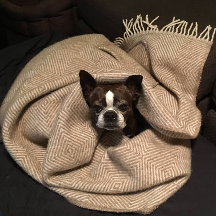 18f5aa23 4f66 40d5 a8f5 4f45fce7ac06