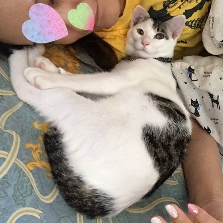 18f5dbf2 2136 40d9 b320 27c81ba1bb59