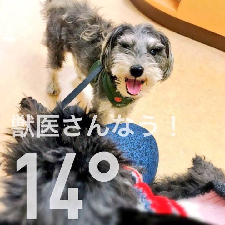 18f600ec d1fa 4215 94cf 1679c3feae89