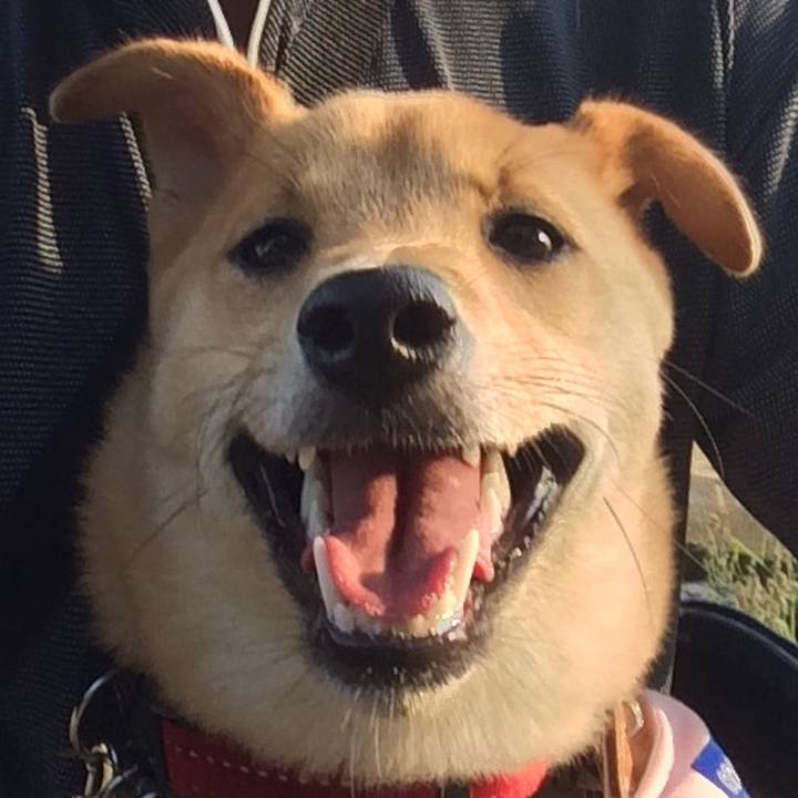 18f68c53 f6bd 42e5 800c 6efacb33a887