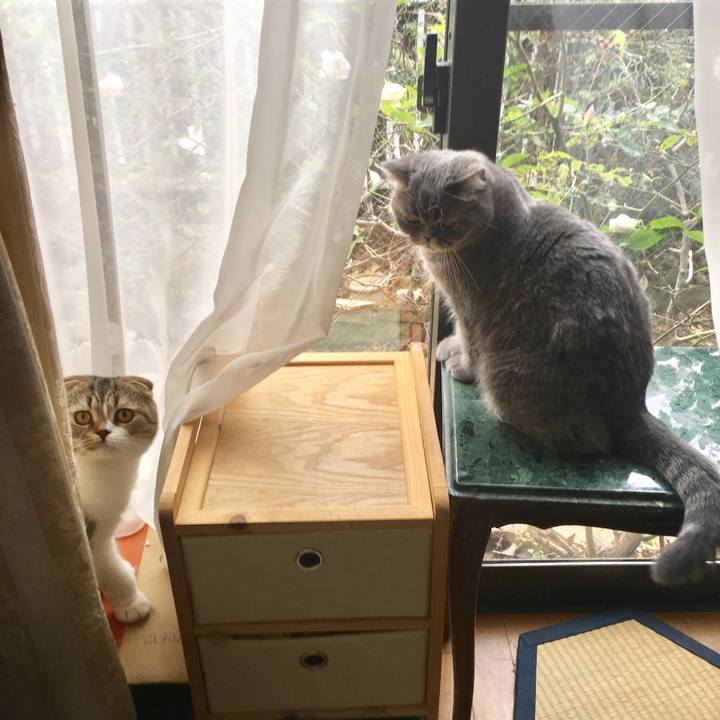 18f6b0da 09fb 44f1 9691 638fe744cd18