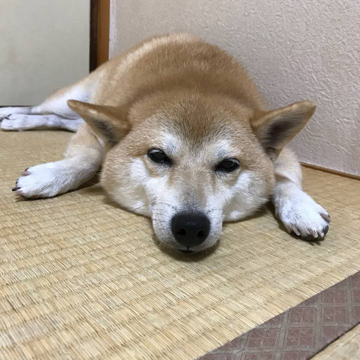 18f6f375 3e04 49a1 8401 be6c0bb53f92