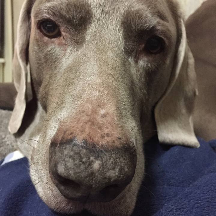 18f8a732 cd71 4247 9b7a ab1ae0ffcfe9