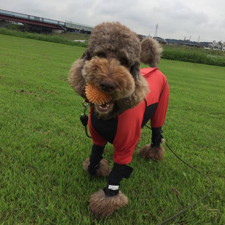 18f97481 ef3e 4660 80f4 90a17150047f