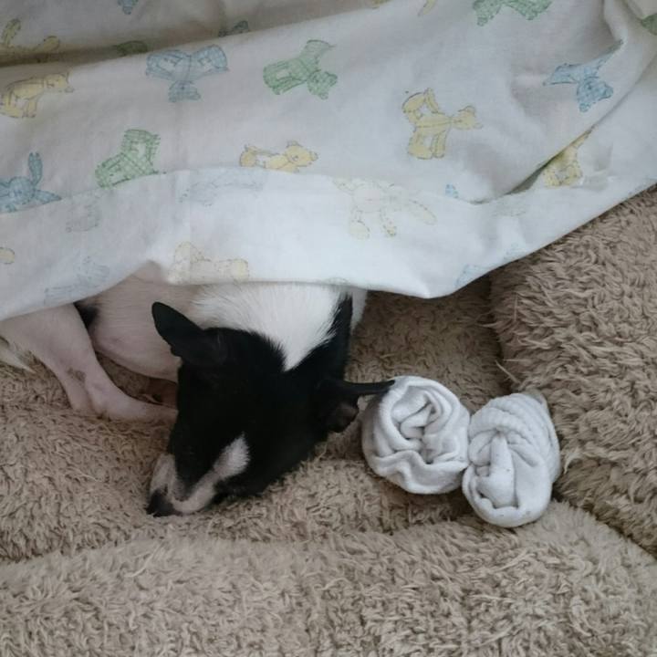 18f9e856 1dcf 4888 9467 b2839eb89ff3