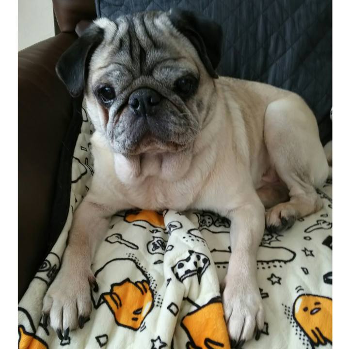 18fb0f8b 9074 401d 9b88 5848dea99f6b