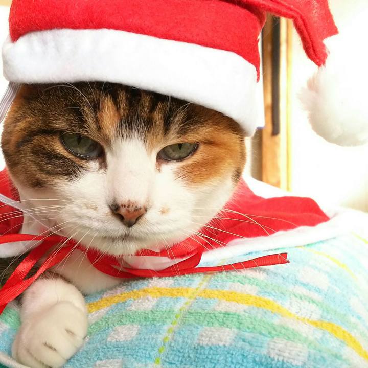 18fb37dd 3f64 4c5c ba3f e6721fd5e9e1