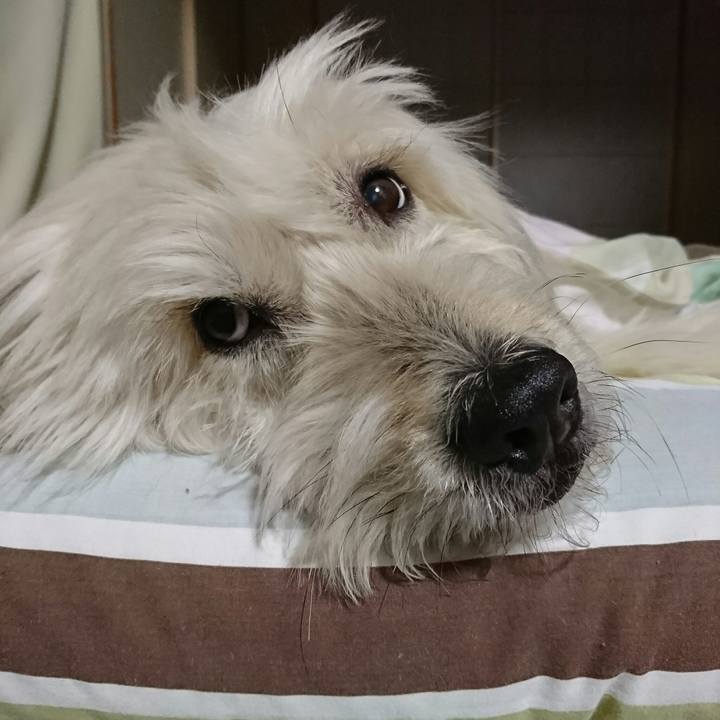 18fb73fe 0612 4615 93b3 819b4fa114a9