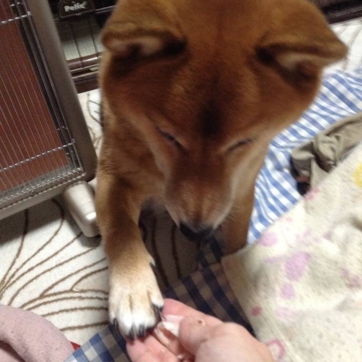 18fbc737 da49 4596 950a d73b7698fc0e