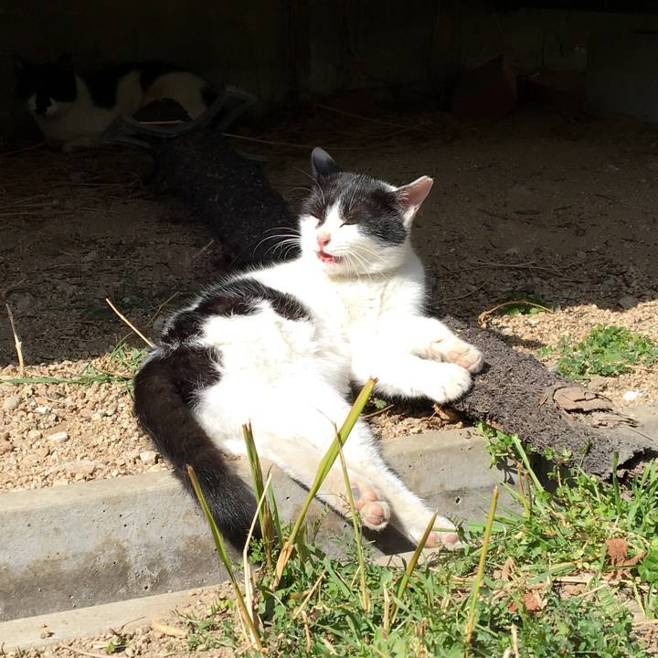 18fbd814 374d 4088 ada3 7445de1cca5e