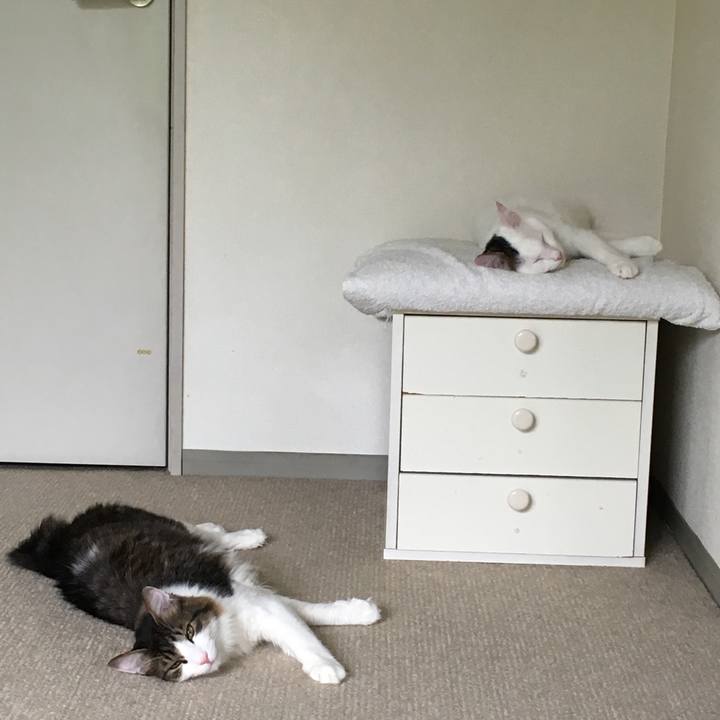 18fc42a3 c073 4118 ab86 c9ef6103d1fa