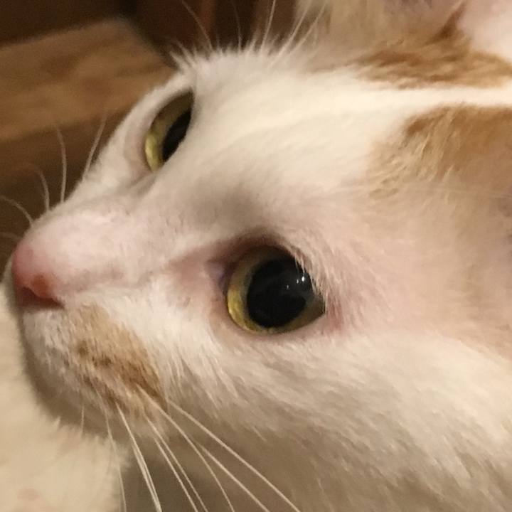 18fc4aeb 692e 4e6f a38c 126296f38e4b