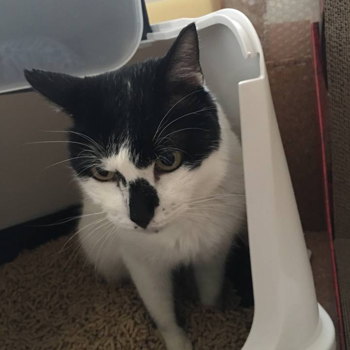 18fcb36c 79bf 4176 887a a4053000c952