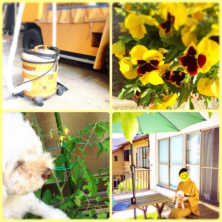 18fcb778 be90 4b53 9f13 09e9792c0286