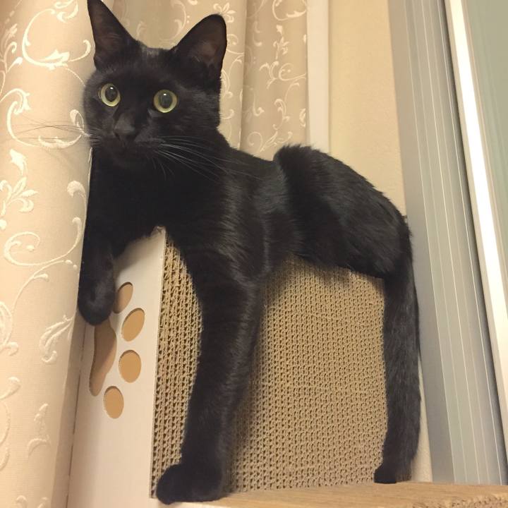 18fd9c37 78a3 4535 a5f5 00ebfce37d2b