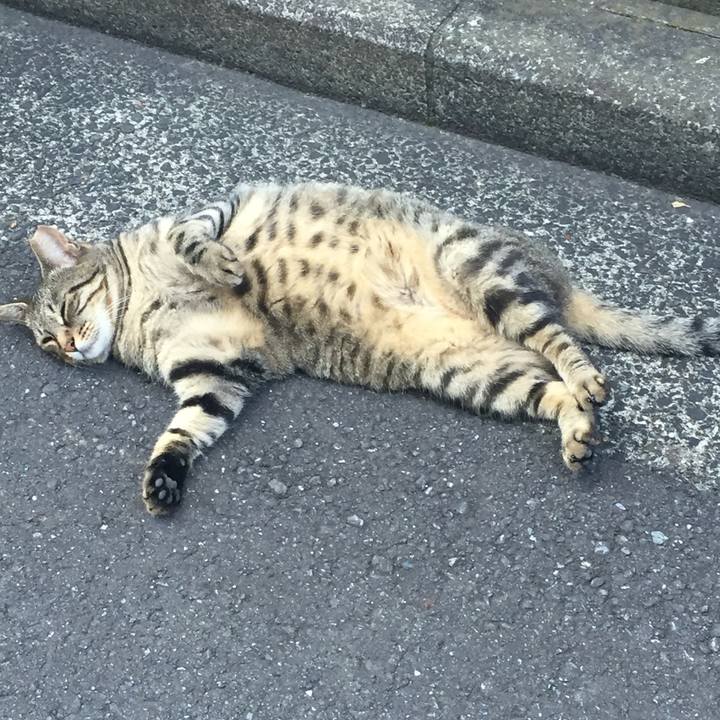 18fdaeff 8552 48cc a5b8 5aca015e0717