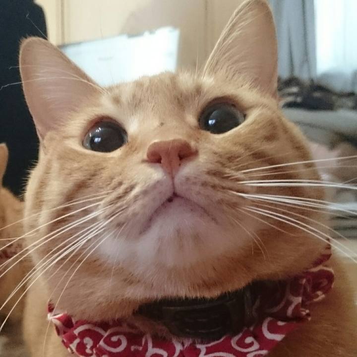 18fdfb37 a6e7 42bb ab49 e09a1094e0a5