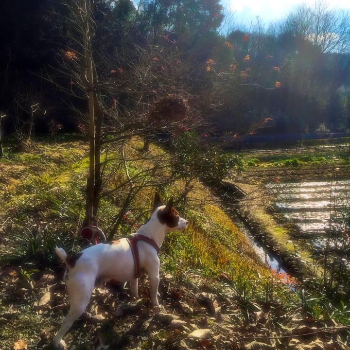 18fe106b 31bc 483d a6dd d6e3efc3eb1d