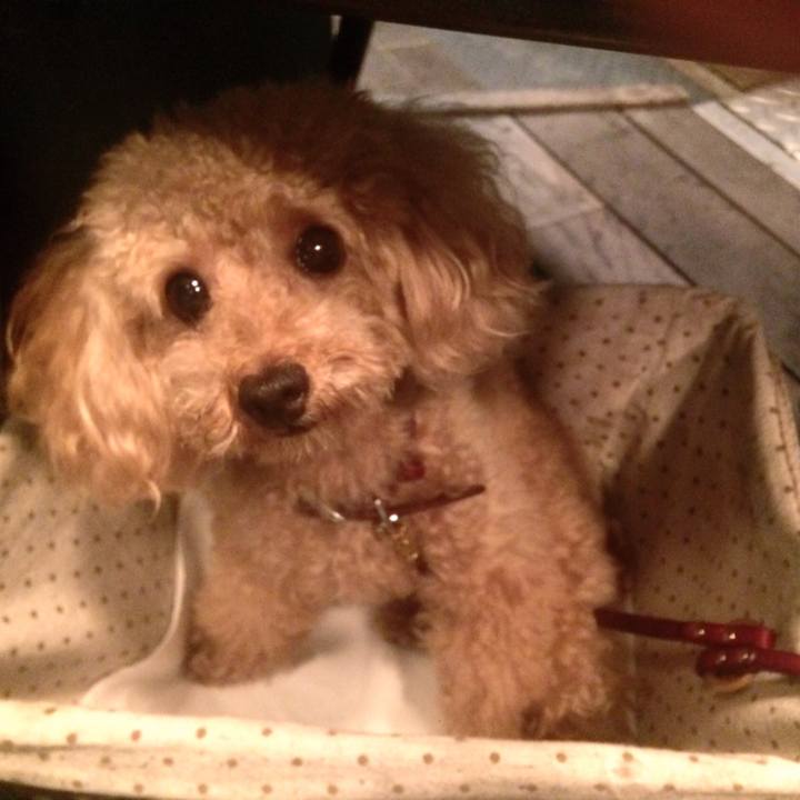 18fe86fc 42f4 4baa a72f 73798441cade