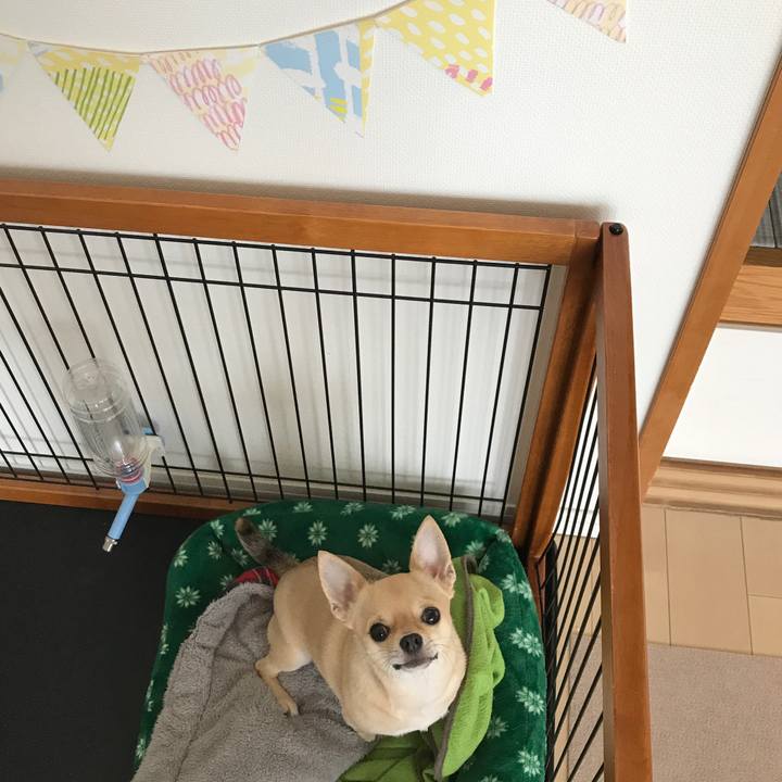 18feb4ba 44db 4ea9 9c4f 77b095d63e75