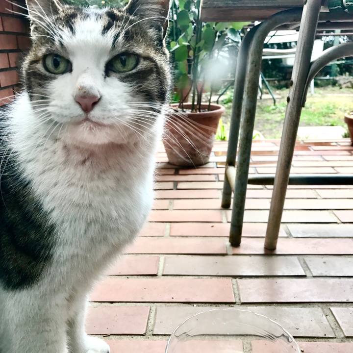 18fee4d4 bd7e 4130 bd69 bf9707c1aba5