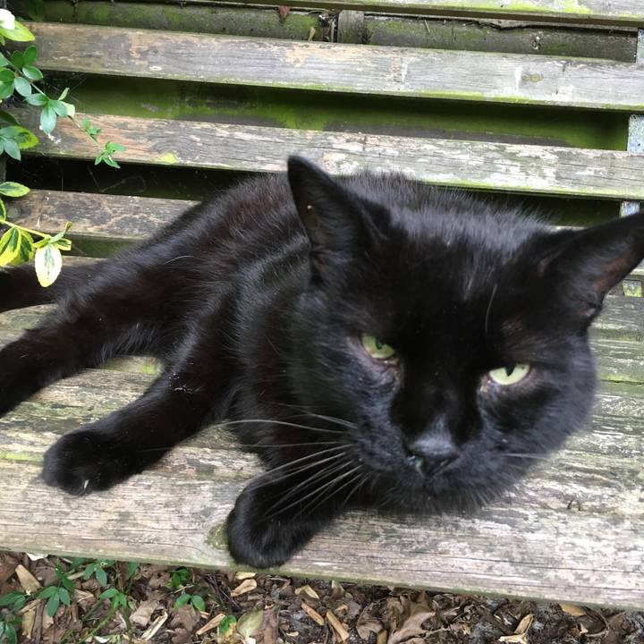 18ff3bbc ee63 4b33 bd16 4d41716ccebc