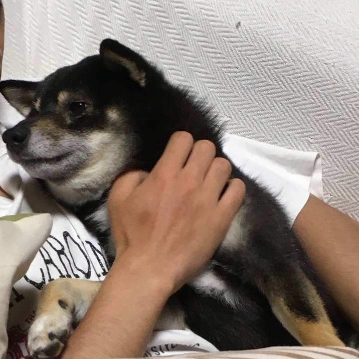 19005127 72b4 4022 b35a fdf4c56b1dfa